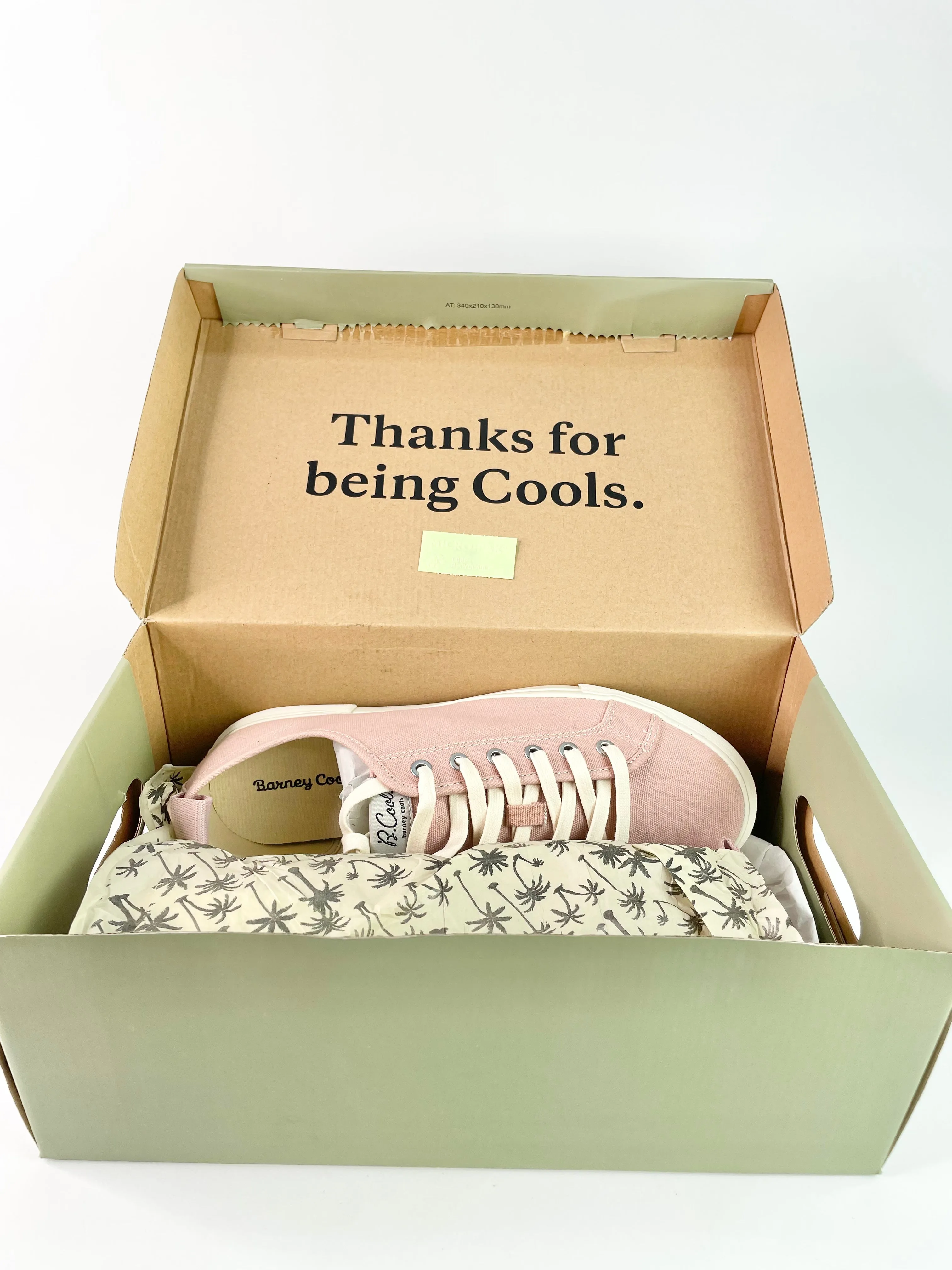 Barney Cools Poolside Pink Canvas Sneakers - EU43