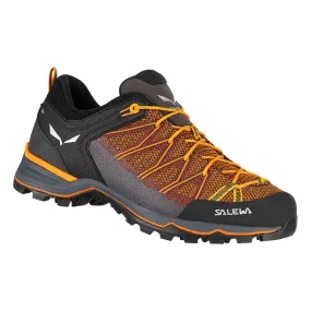 Salewa Mountain Trainer Lite